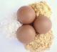 How To Use Powdered Eggs In Daily Cooking